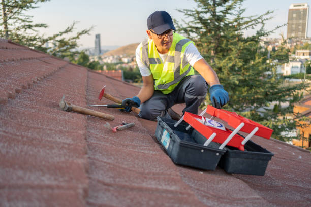 Best Insulated Siding Installation  in Muskego, WI